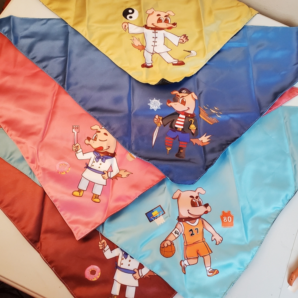 5 set pet bandana Large 26.6" neck side. Pre-owned, never used.